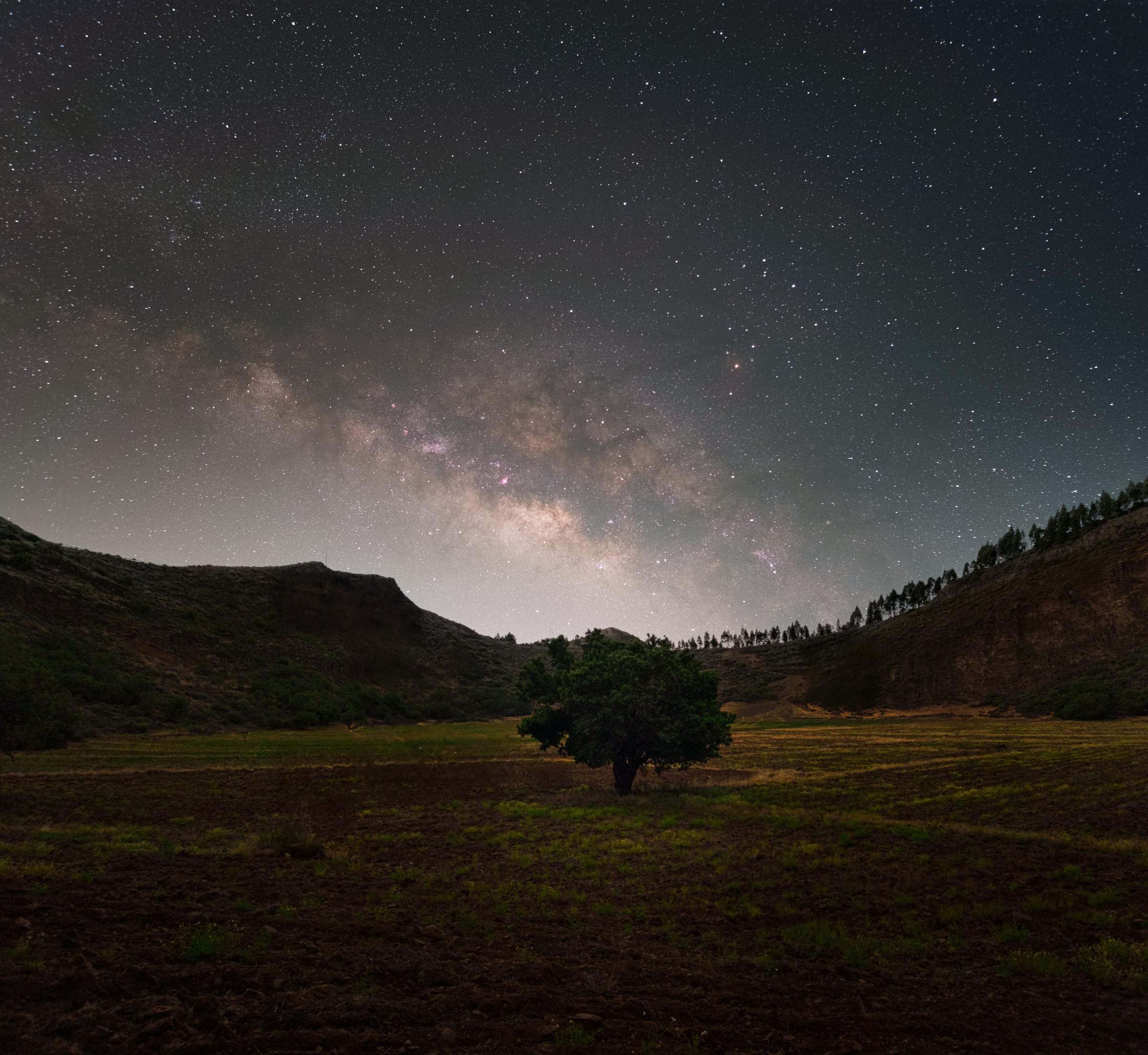 Árbol solitario bajo el centro galáctico en la Caldera de los Marteles
