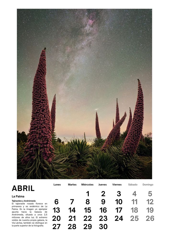 Abril de 2026 del calendario de Iván Cárdenes Muñoz: Tajinastes y Andrómeda, La Palma