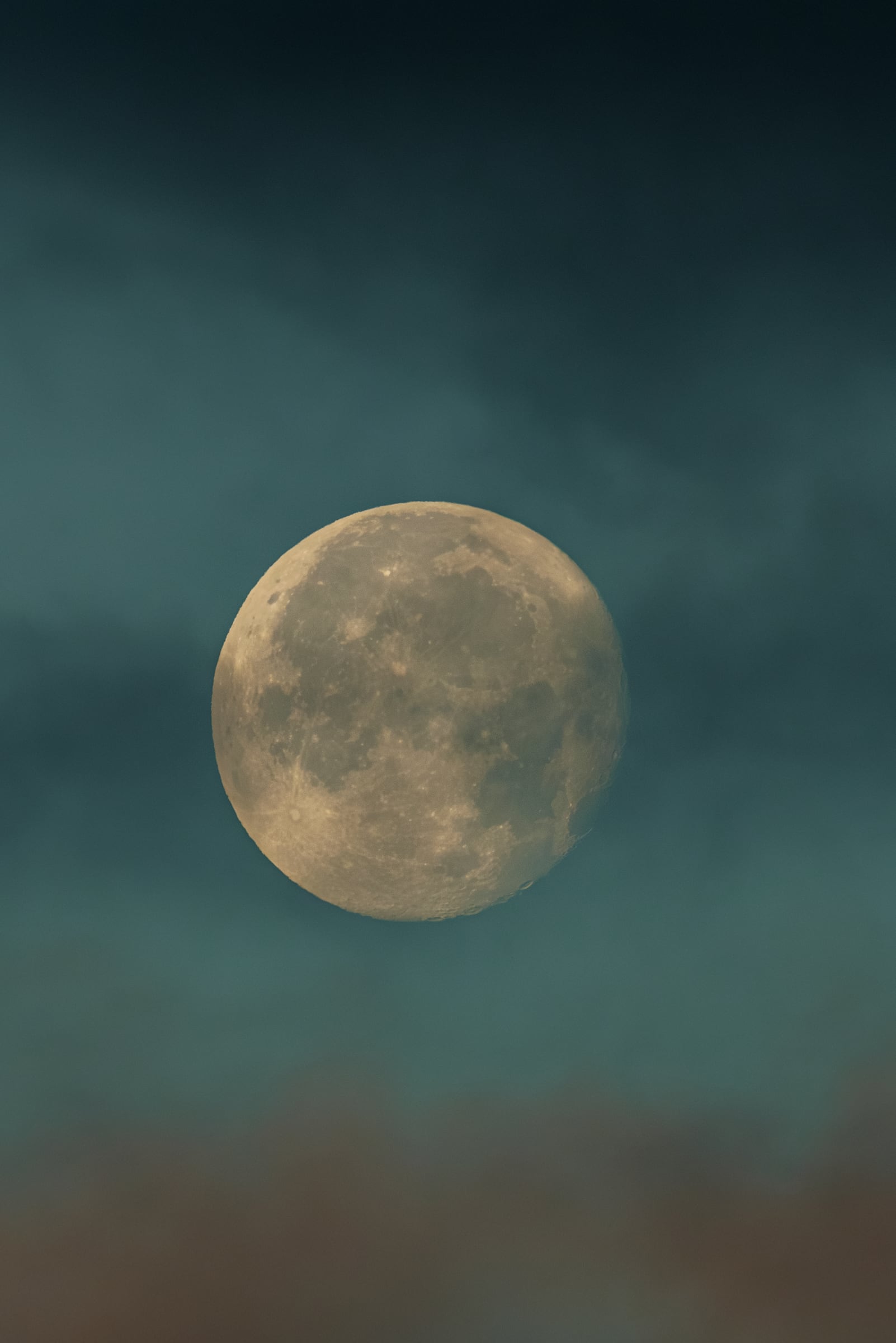 Luna de las Flores