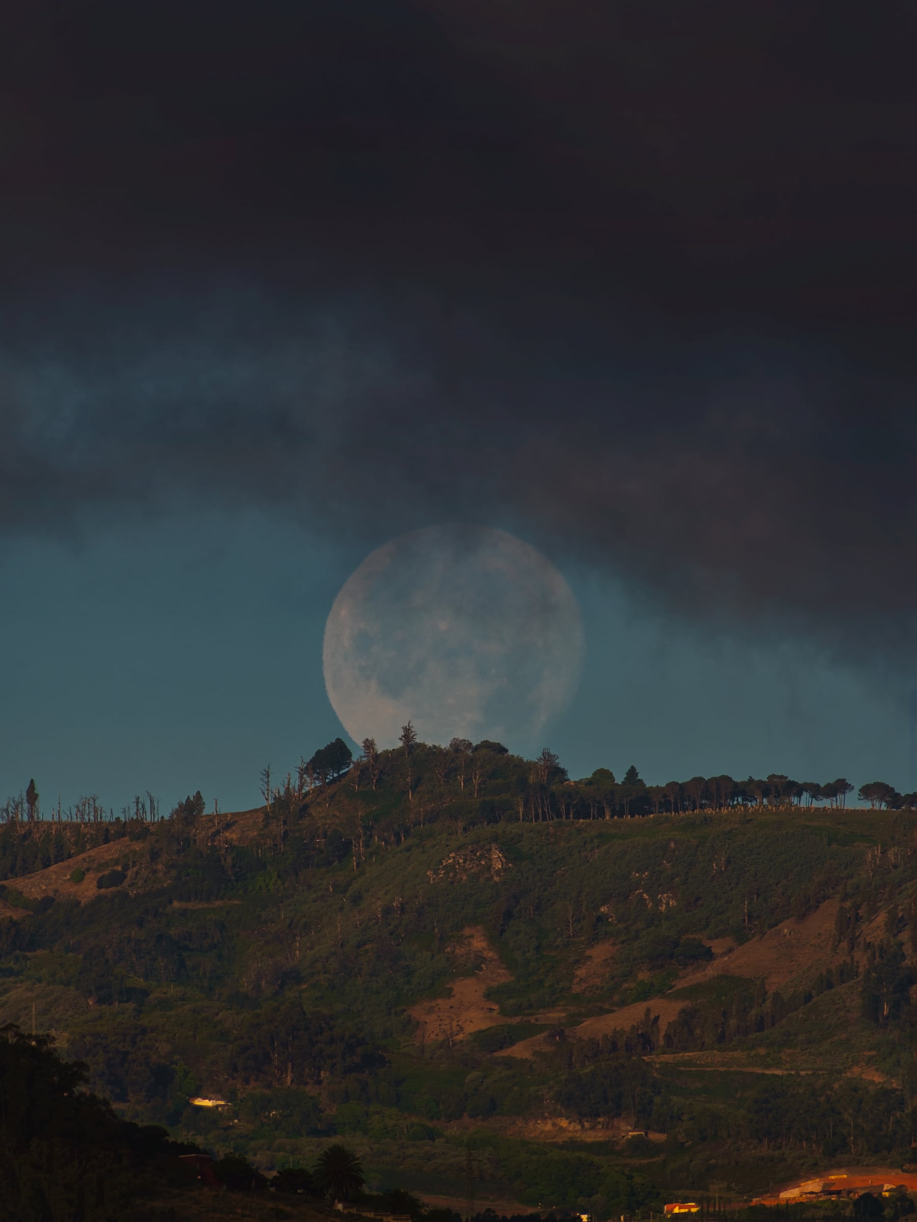 La luna saliendo tras una cumbre arbolada