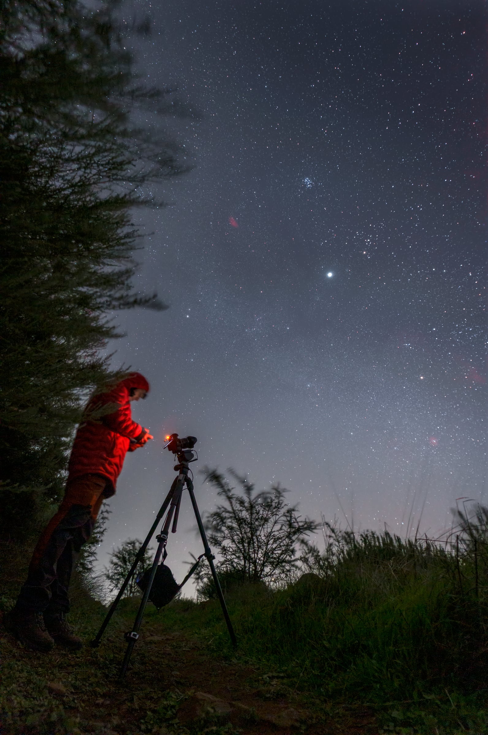 La Nebulosa de California, las Pléyades y Júpiter
